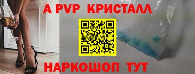 хмурый Кингисепп