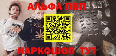 хмурый Кингисепп