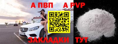 хмурый Кингисепп