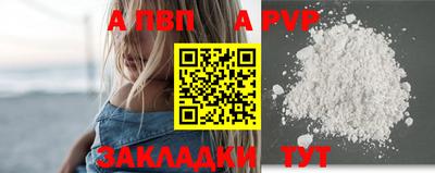 хмурый Кингисепп