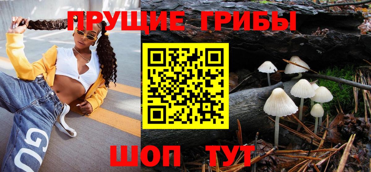 Искитим  Псилоцибиновые грибы Psilocybine cubensis  Галлюциногенные грибы Psilocybe  Вход с VPN 