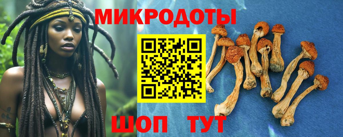 Псилоцибиновые грибы прущие грибы Искитим